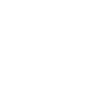 Core Values Icon